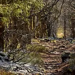 L'enchantraine - Confort Et Tarif Inclus - Spacieux Et Accueillant Sur Lejlighed *