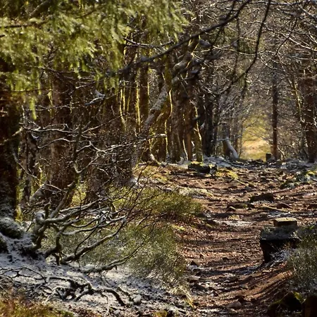 L'enchantraine - Confort Et Tarif Inclus - Spacieux Et Accueillant Sur Lejlighed *