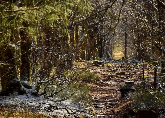 L'enchantraine - Confort Et Tarif Inclus - Spacieux Et Accueillant Sur Apartmán *