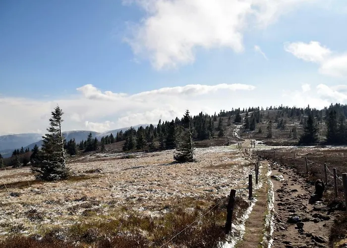 Apartmán L'enchantraine - Confort Et Tarif Inclus - Spacieux Et Accueillant Sur Épinal